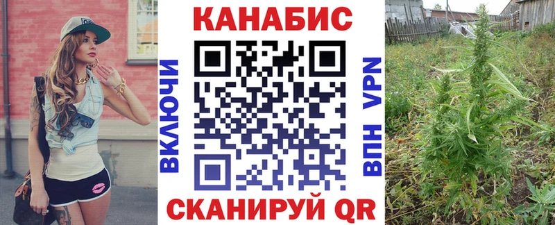 Купить закладки  Первоуральск  МАРИХУАНА сатива 